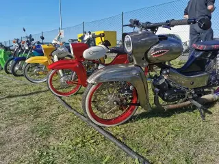 Titelbild für Tage des Donners - die Börde bebt