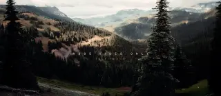 Tief im Wald 2026